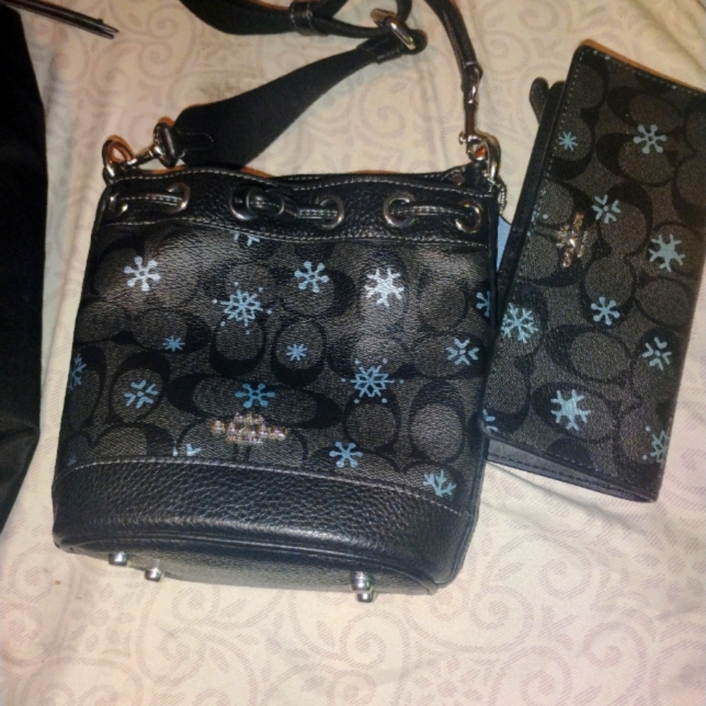Coach Winter Edition small purse